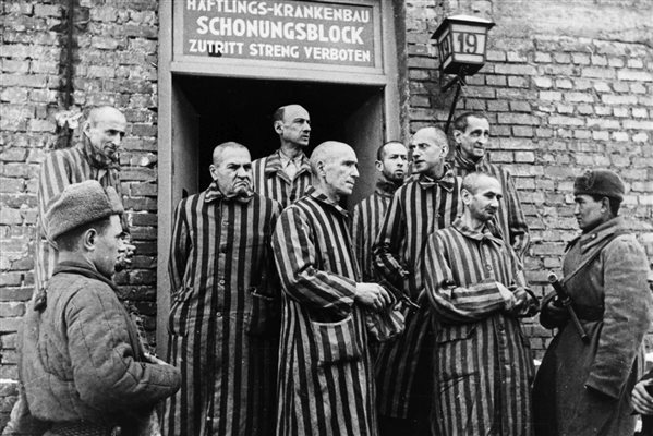 تسلیم‌شدگان: شاهدانی عینی